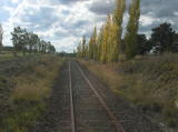 The cutting towards the north end of Cooma.