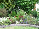 A close up of part of the front garden.