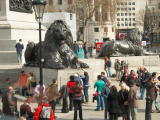 IMG_0014.jpg
