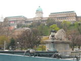 IMG_0147.jpg