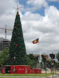 IMG_0027.jpg
