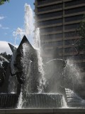 IMG_0163.jpg