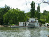 IMG_0371.JPG