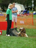 IMG_0393.JPG