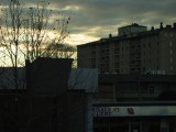 IMG_0012.jpg
