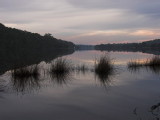 IMG_0176.jpg