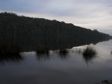 IMG_0180.jpg