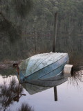 IMG_0185.jpg