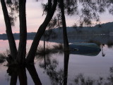 IMG_0204.jpg