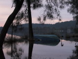 IMG_0207.jpg
