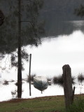 IMG_0231.jpg