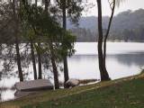 IMG_0237.jpg
