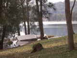 IMG_0241.jpg