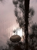 IMG_0246.jpg