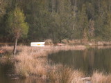 IMG_0248.jpg