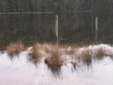 IMG_0259.jpg