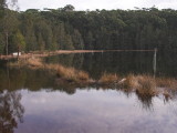 IMG_0264.jpg
