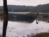 IMG_0265.jpg