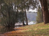 IMG_0270.jpg