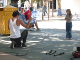 IMG_0014.jpg