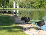 IMG_0044.jpg