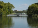 IMG_0049.jpg