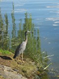 IMG_0109.jpg