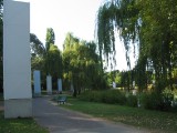 IMG_0118.jpg