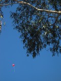 IMG_0131.jpg
