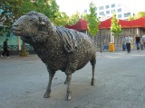 IMG_0146.jpg