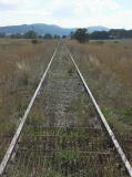 Looking north along the tracks from Williamsdate. No obvious buckles on this section of track.
