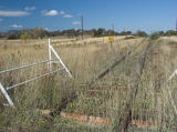 Looking south towards the Williamsdale (goods?) platform. The tracks look like they haven't been used for quite some time.