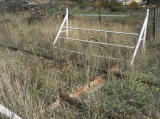 A look at the cattle stop south of the crossing.
