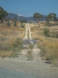 South of Williamsdale, next to a railway cutting. This road bridge still has tar seal on it, indicating it may have once been the main road south.