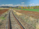 More farm land between Bunyan and Chakola stations.