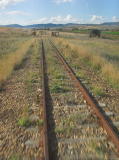 More farm land as we get closer to Chakola station.