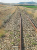 More straight running on the Tin Hare.