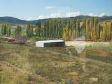 Farm land on the right hand side of the track. Autumn has clearly arrived in this part of the country.