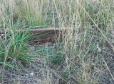 The last bent railway track before the old crossing over the highway.