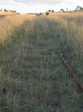 Another look up the embankment south of the former crossing. The embankment is surprisingly steep for a railway.