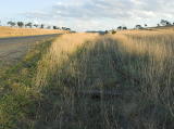 This is how close the road and railway were at this point, just a few meters apart.
