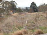 A set of points just past 228km on the Crookwell line. The siding branches to the left.