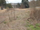 An overgrown section of the Crookwell line just past 228km. A mangled point rod can be seen on the right.