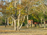 IMG_0018.JPG