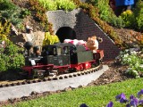 IMG_0012.JPG
