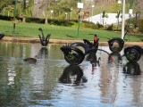 IMG_0033.JPG