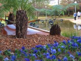 IMG_0042.JPG