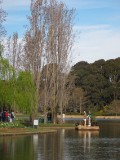 IMG_0045.JPG