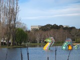IMG_0047.JPG
