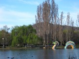 IMG_0050.JPG